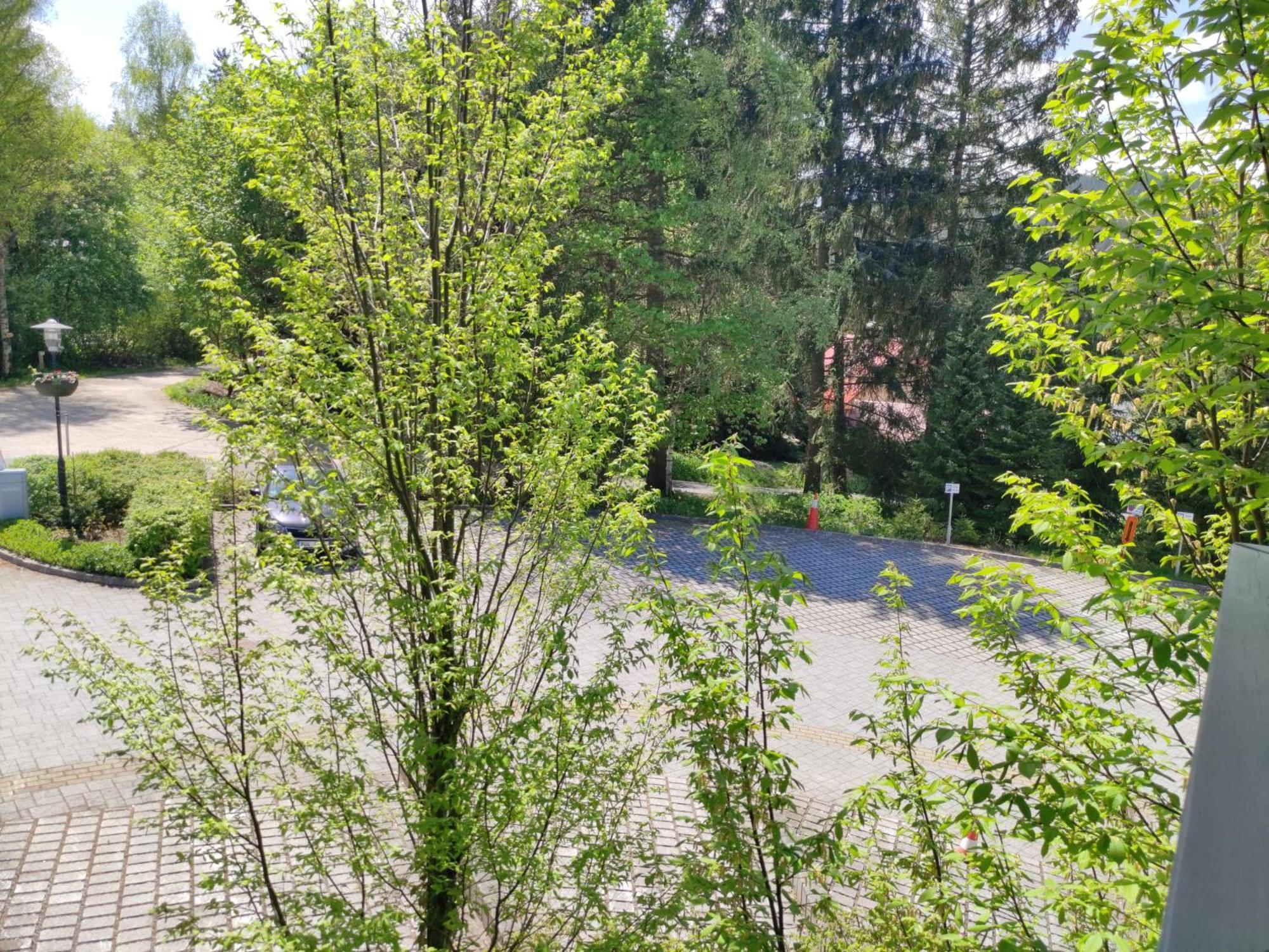 Tiche Anenske Apartmany S Hotelovym Servisem, S Kvalitni Bufetovou Snidani A S Exklusivnim Saunovym Wellness Grotta Spa - By Relax Harrachov Eksteriør billede
