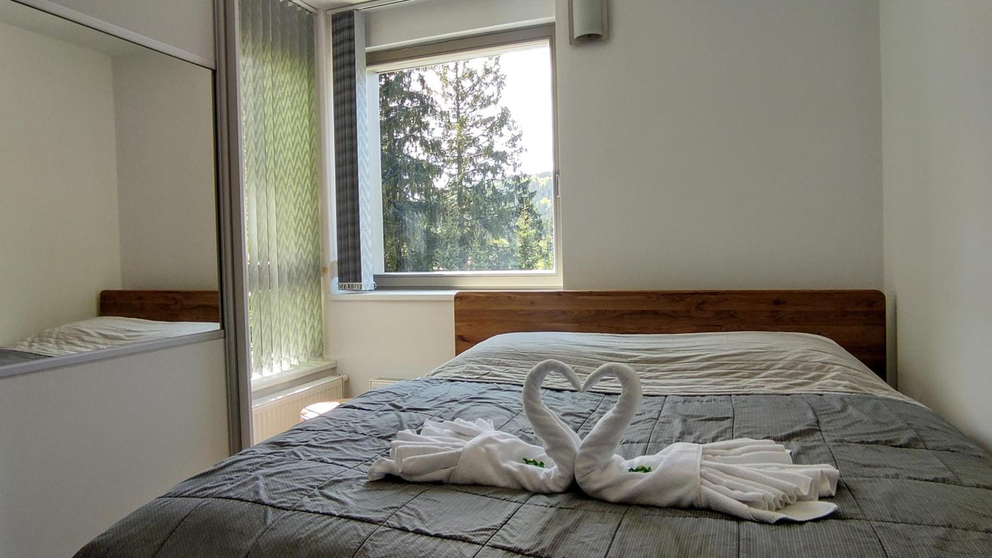 Tiche Anenske Apartmany S Hotelovym Servisem, S Kvalitni Bufetovou Snidani A S Exklusivnim Saunovym Wellness Grotta Spa - By Relax Harrachov Eksteriør billede